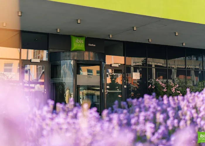 酒店 Ibis Styles 3*