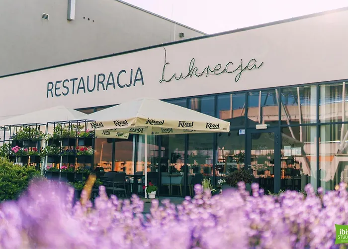 Ibis Styles 3* 谢德尔采