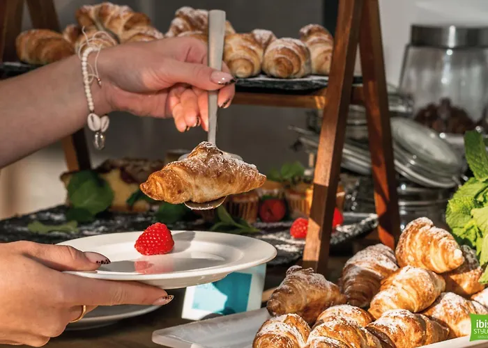 酒店 Ibis Styles 谢德尔采