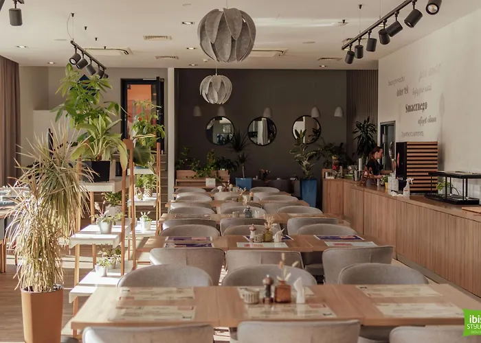 Ibis Styles 酒店 谢德尔采